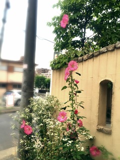 2015-06-06 22.37.46.jpg