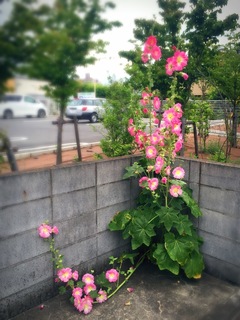 2015-06-08 15.40.01.jpg