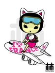 2008france_hi.jpg