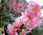 07022105