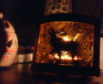 200703050254000.jpg