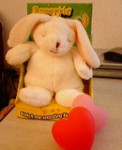 200703230900000.jpg