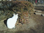 NEC_0043.jpg